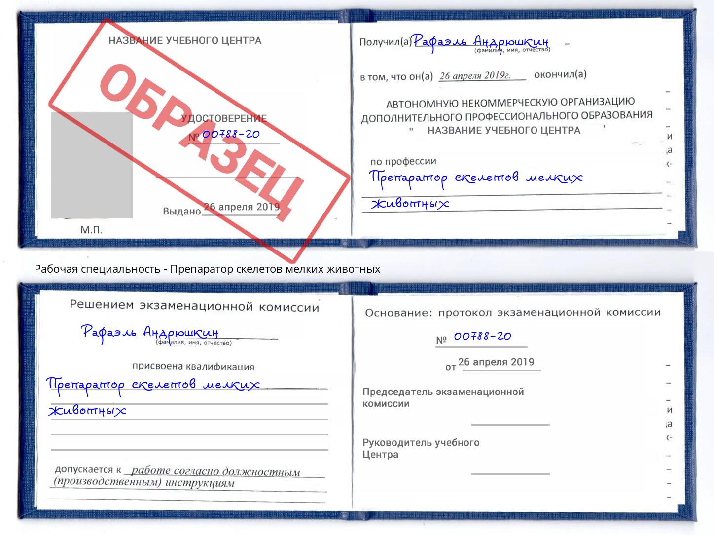 Препаратор скелетов мелких животных Дубна