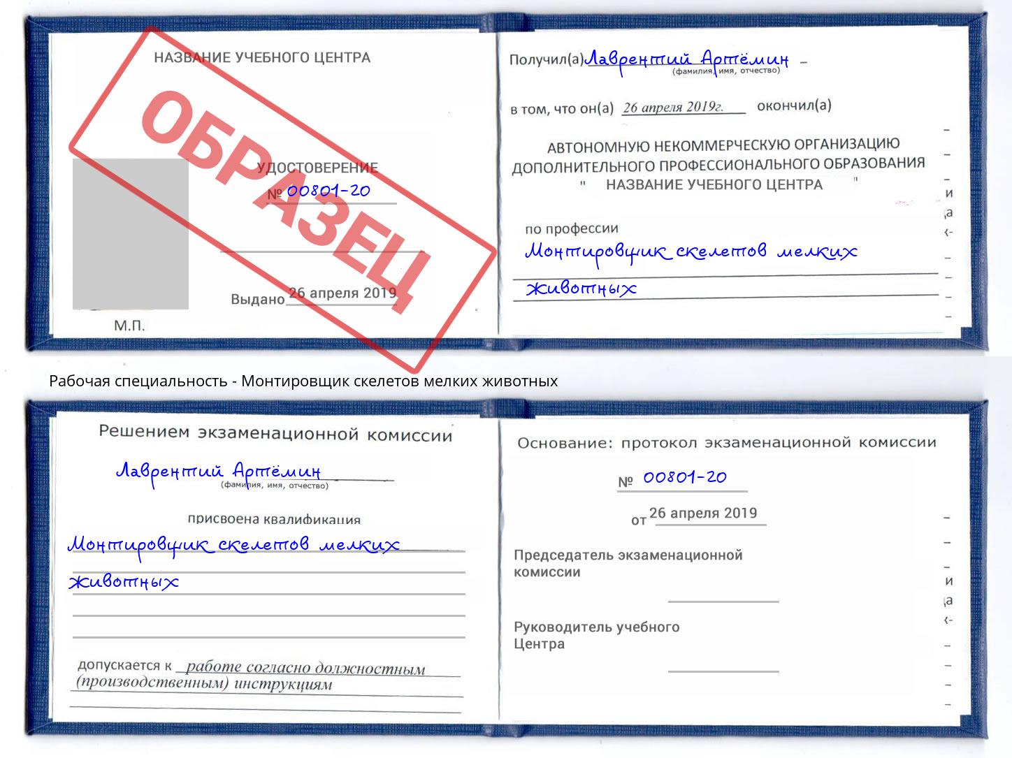 Монтировщик скелетов мелких животных Дубна