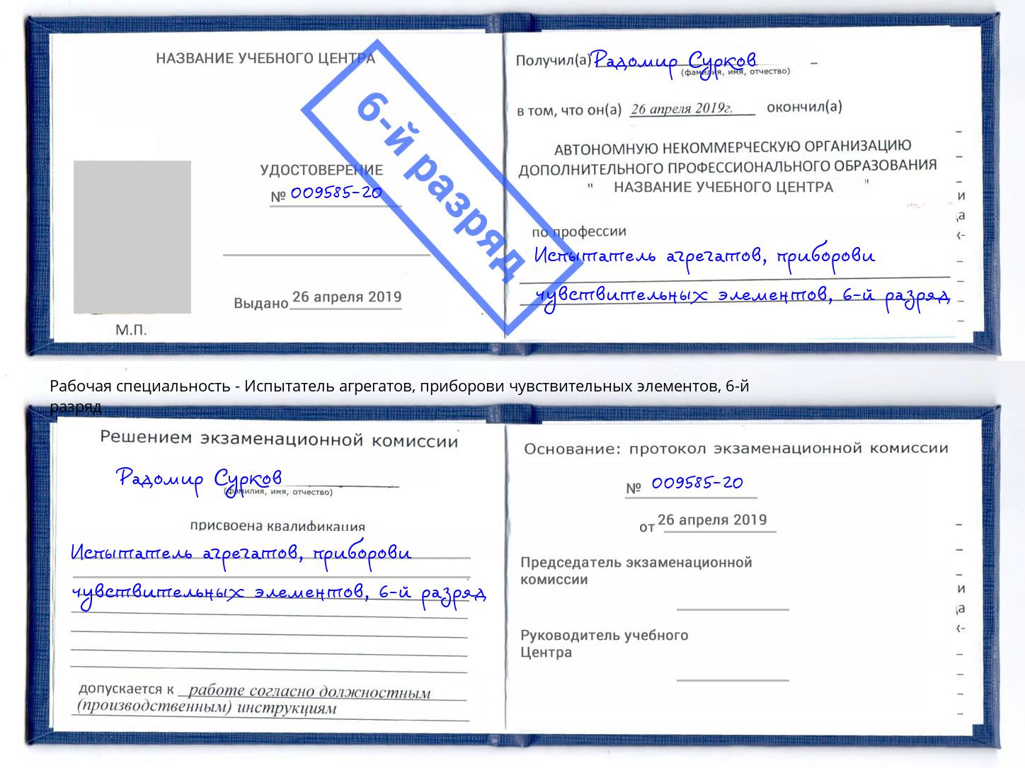 корочка 6-й разряд Испытатель агрегатов, приборови чувствительных элементов Дубна