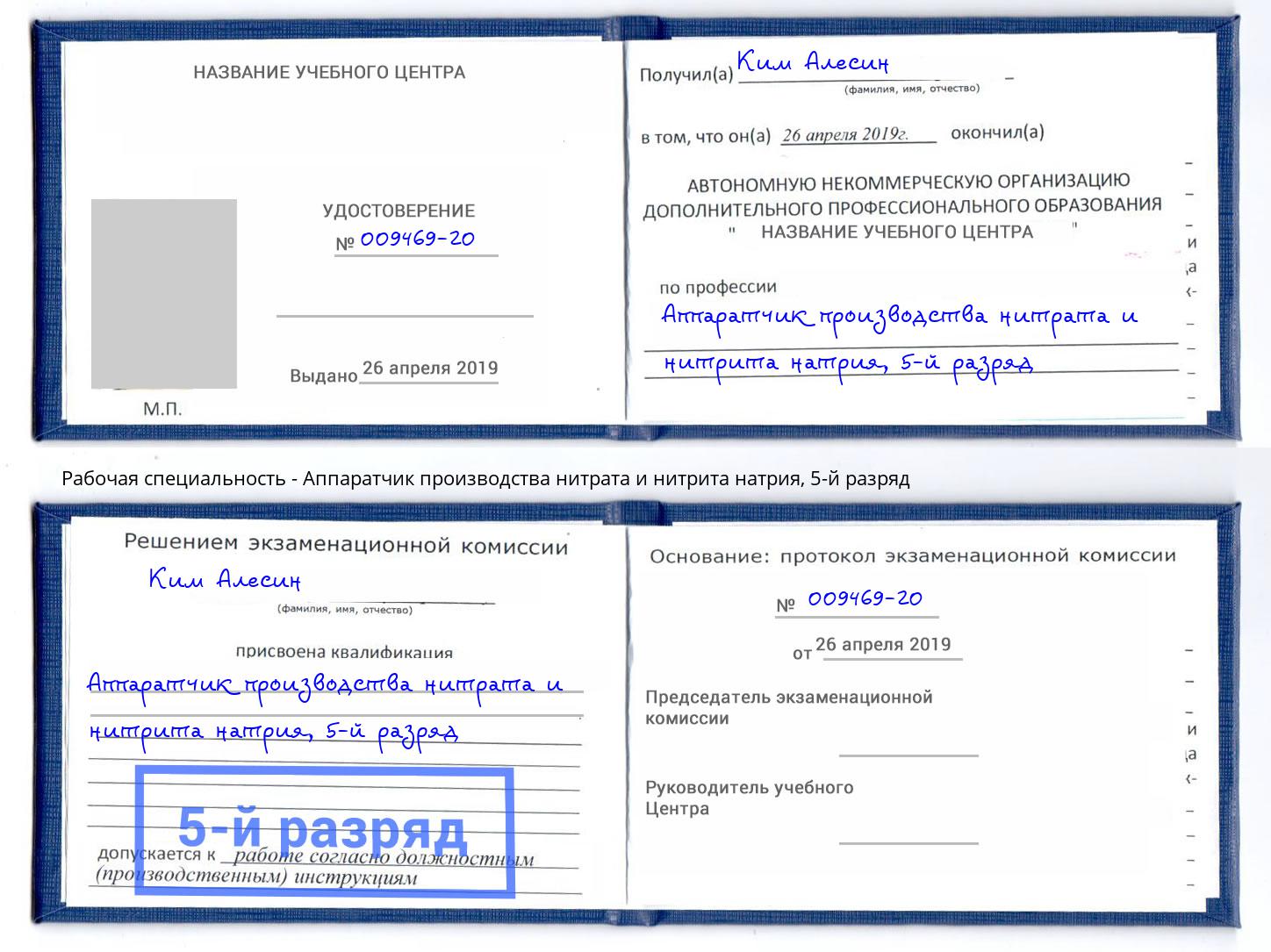 корочка 5-й разряд Аппаратчик производства нитрата и нитрита натрия Дубна