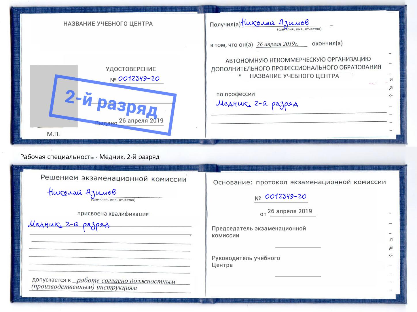 корочка 2-й разряд Медник Дубна