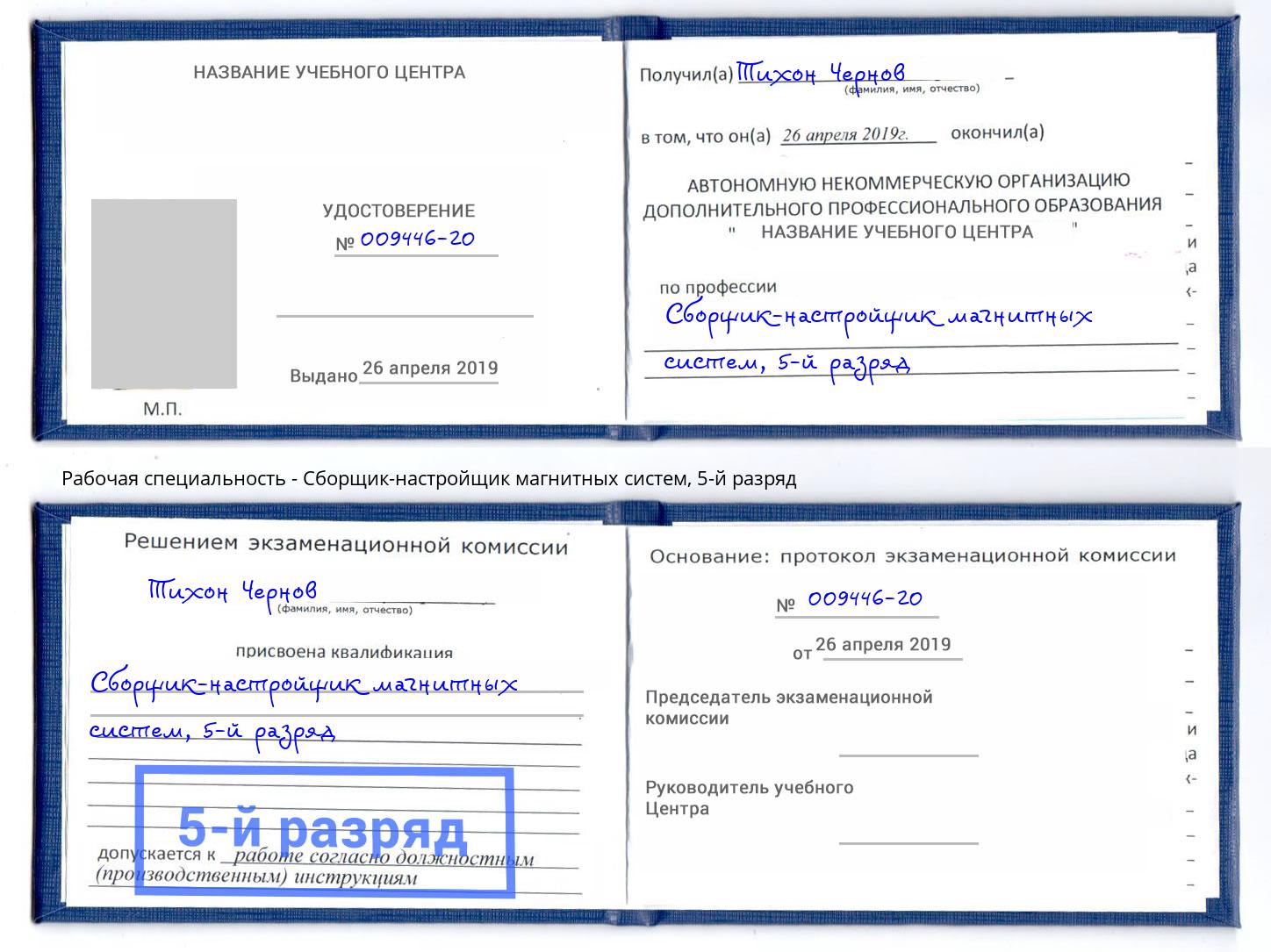 корочка 5-й разряд Сборщик-настройщик магнитных систем Дубна