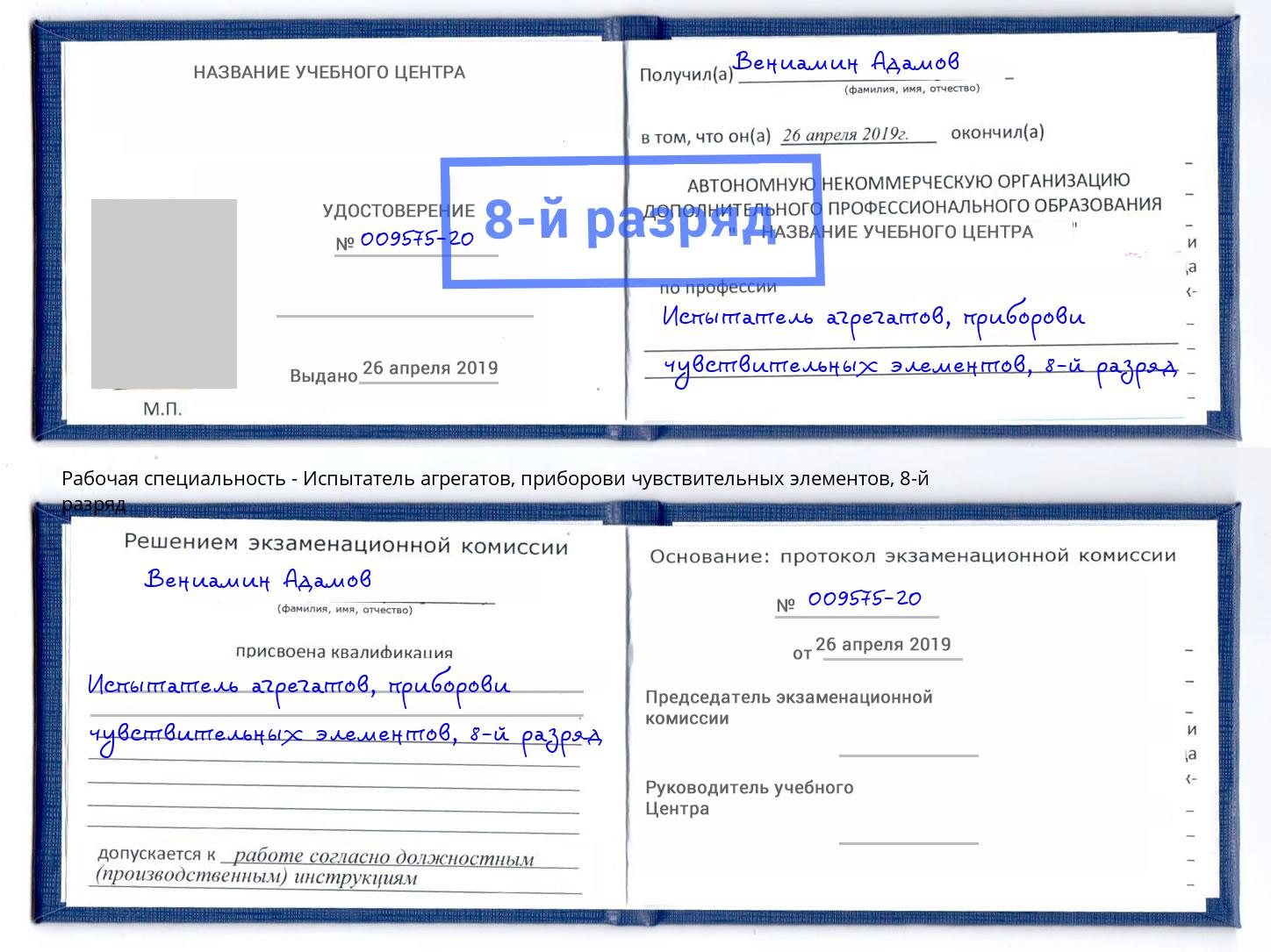 корочка 8-й разряд Испытатель агрегатов, приборови чувствительных элементов Дубна